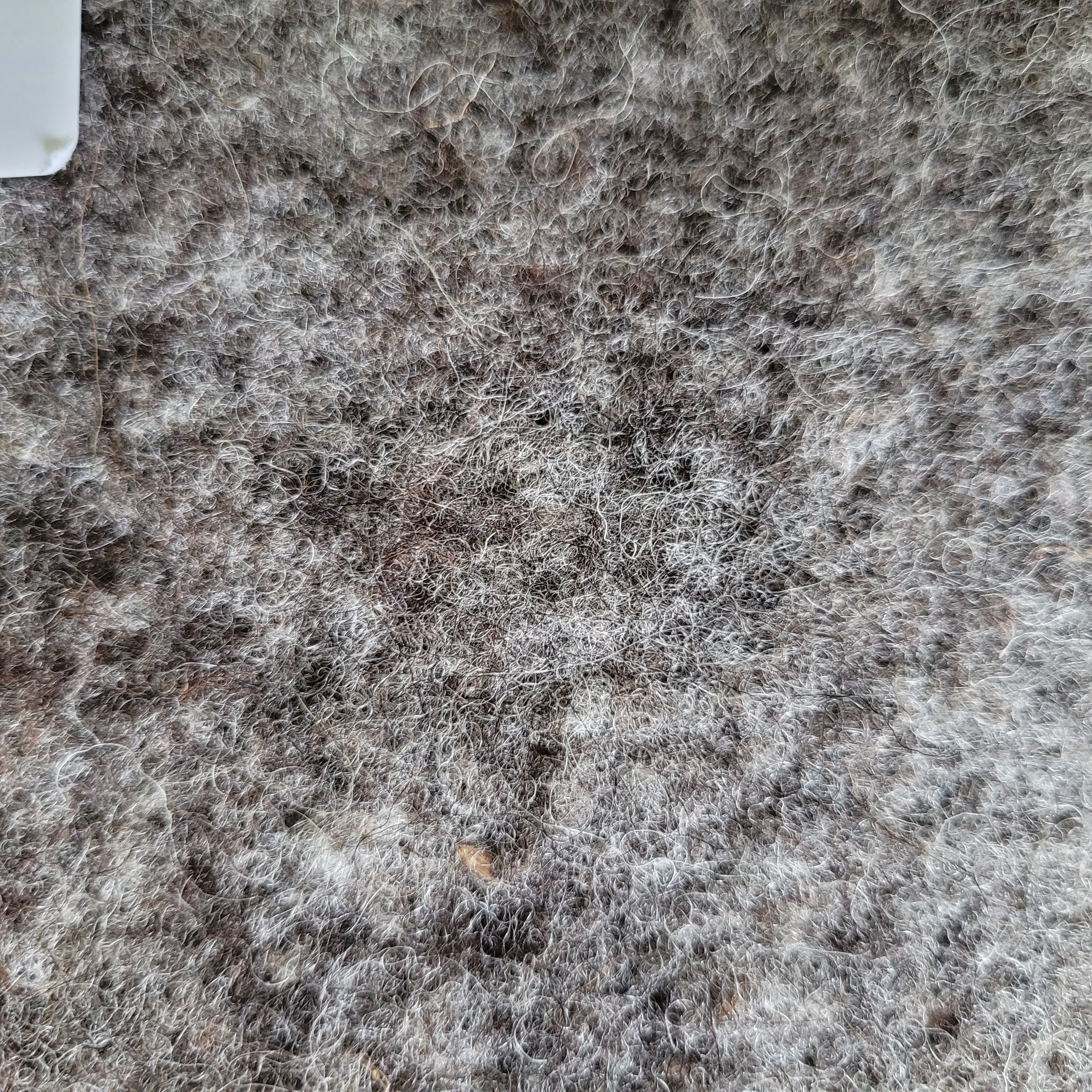Plaid en feutre de laine